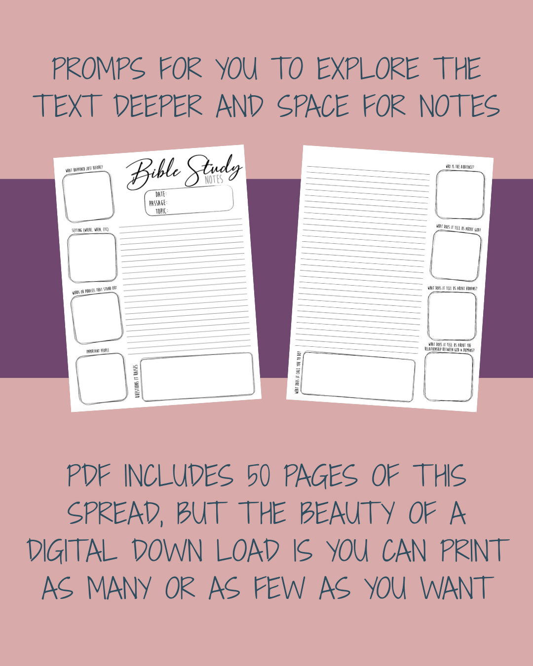 Bible Study Notes