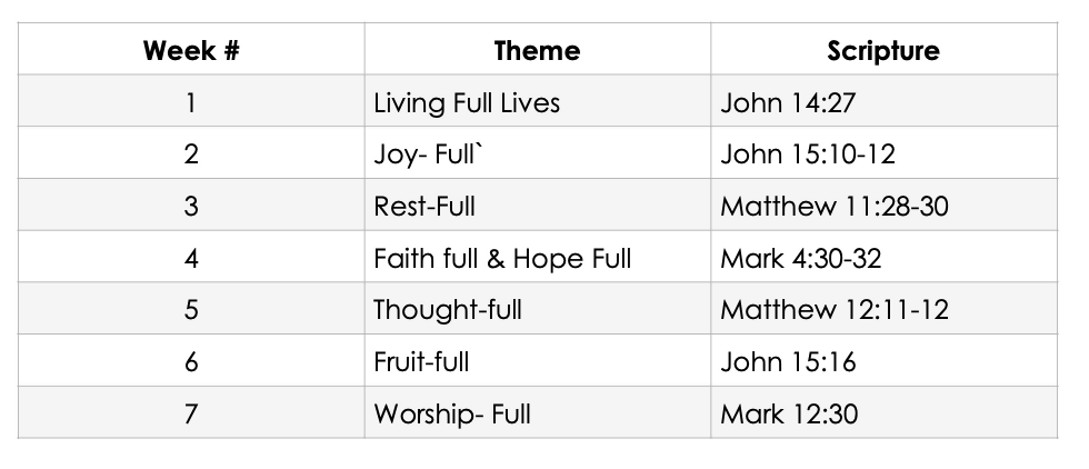 "Full Life" Sermon Series Images and Overview