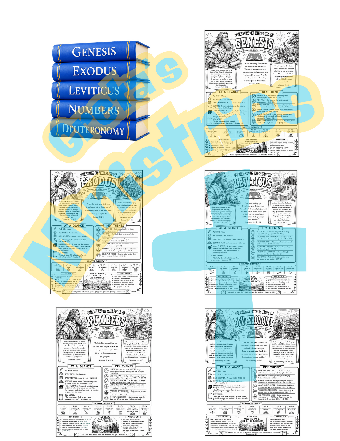Complete Books of the Bible Overview Collection | All 66 Books BUNDLE