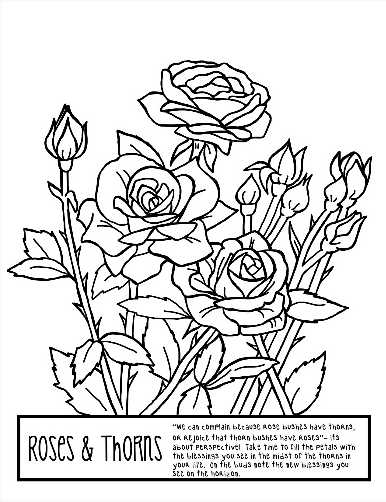 roses and thorn