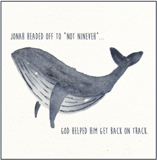 jonah whal