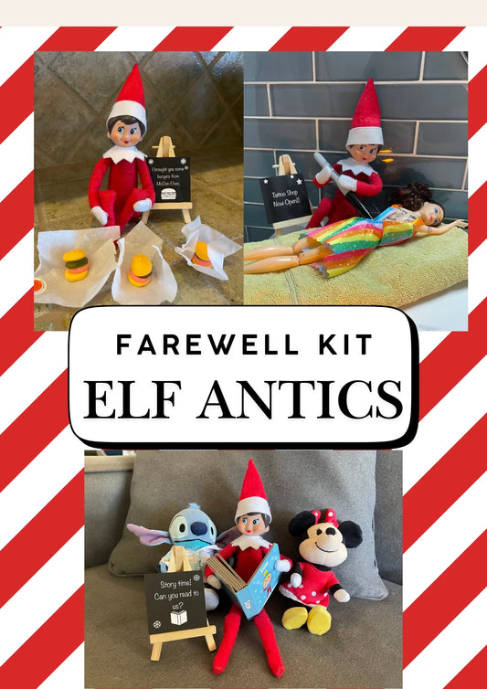 Elf Antics Part 2- Elf on the Shelf Fundraiser
